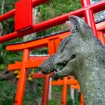 神社とお寺にはこんなに違いがあった